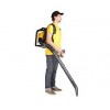 CHAMPION GBR357 (2,5кВт 56,5см³ 9,2кг 1080м³/ч)