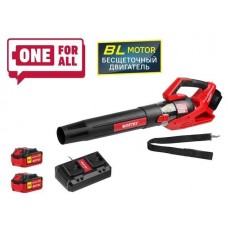 WORTEX BB 2536 D ALL1 ( БЕСЩЁТ.ДВИГ., 18В+18В, 2акб, 4 Ач, макс.объём.7)