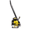 CHAMPION GBR376 (2,7кВт 63,3см³ 10,5кг 1440м³/ч)